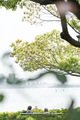 4524300D-13C6-48BF-BB6D-9097B5E34666/L0/001