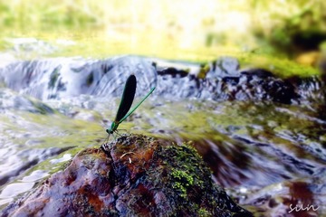 201306134306_
