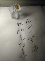 IMG_20160925_224633