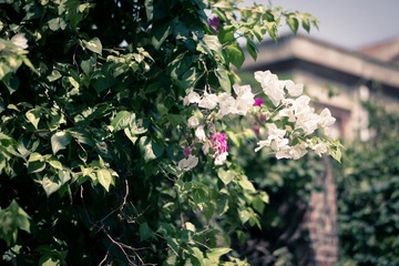 DSC04085.jpg