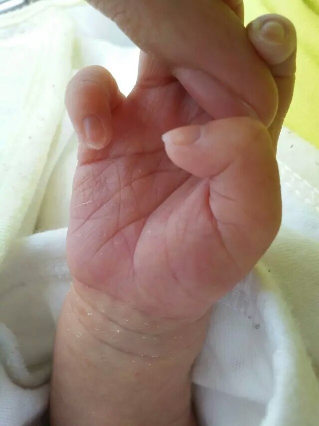 和刚出生的小妹妹,她的小手紧紧的勾著我的手指