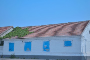 CSC_0055