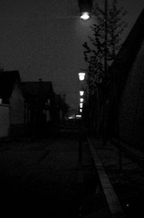 CSC_0045