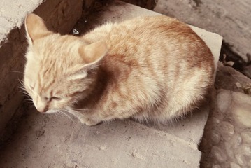 P1020803