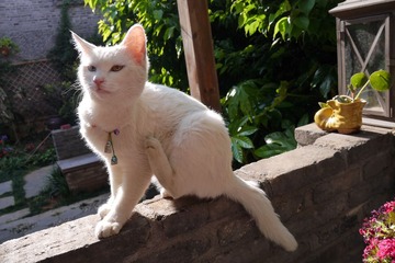 P1030633