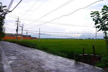 P1040874