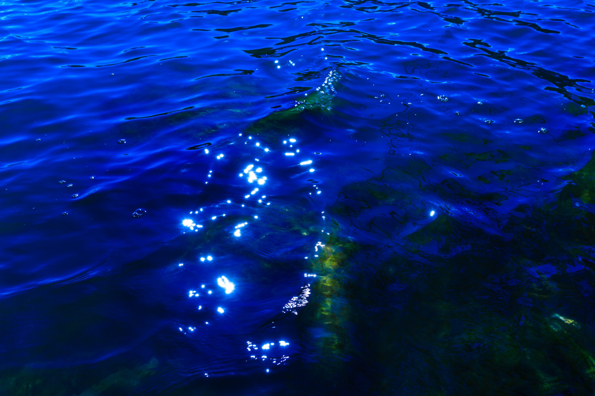 魅力蓝色 - 行走大理 - 图虫网 - 优质摄影师交流社区