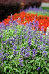 DSC00330_