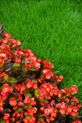 DSC00357_