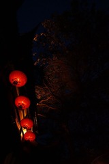 DSC00901_