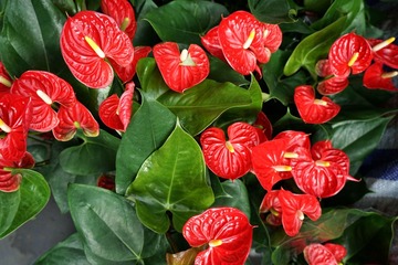 DSC01355-
