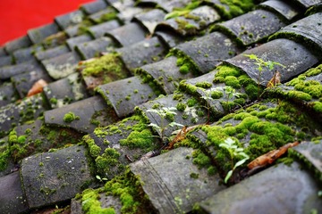 DSC01736-