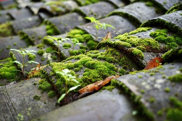 DSC01742-