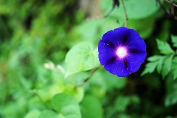 DSC01811-