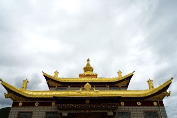 DSC02003_