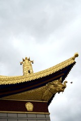 DSC02045_
