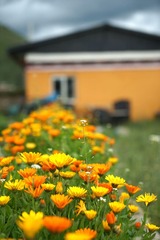 DSC02133_