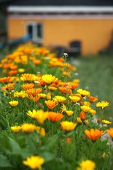 DSC02138_