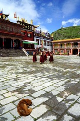 DSC02293_