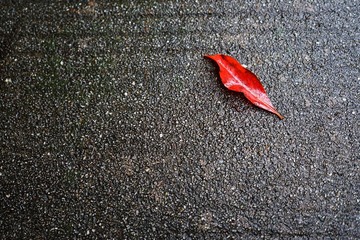 DSC02752_