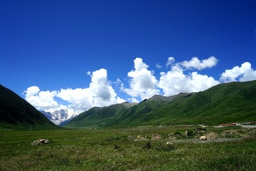 DSC04490_