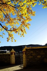DSC06573_