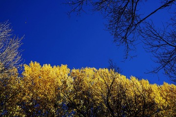 DSC07043_