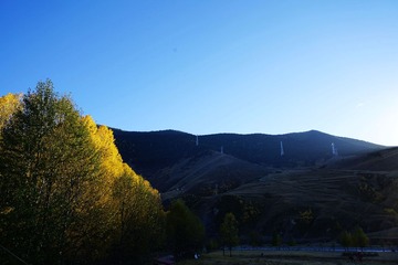 DSC07073_