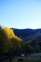 DSC07075_