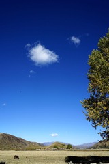 DSC06721_