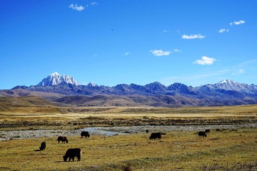 DSC06995_
