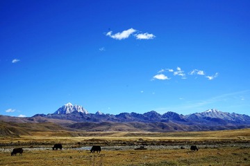 DSC07008_