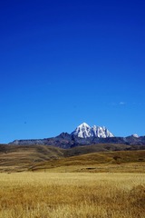 DSC07025_