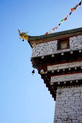 DSC08205_