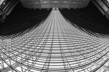 IMG_1295_1