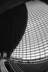 IMG_1297_2