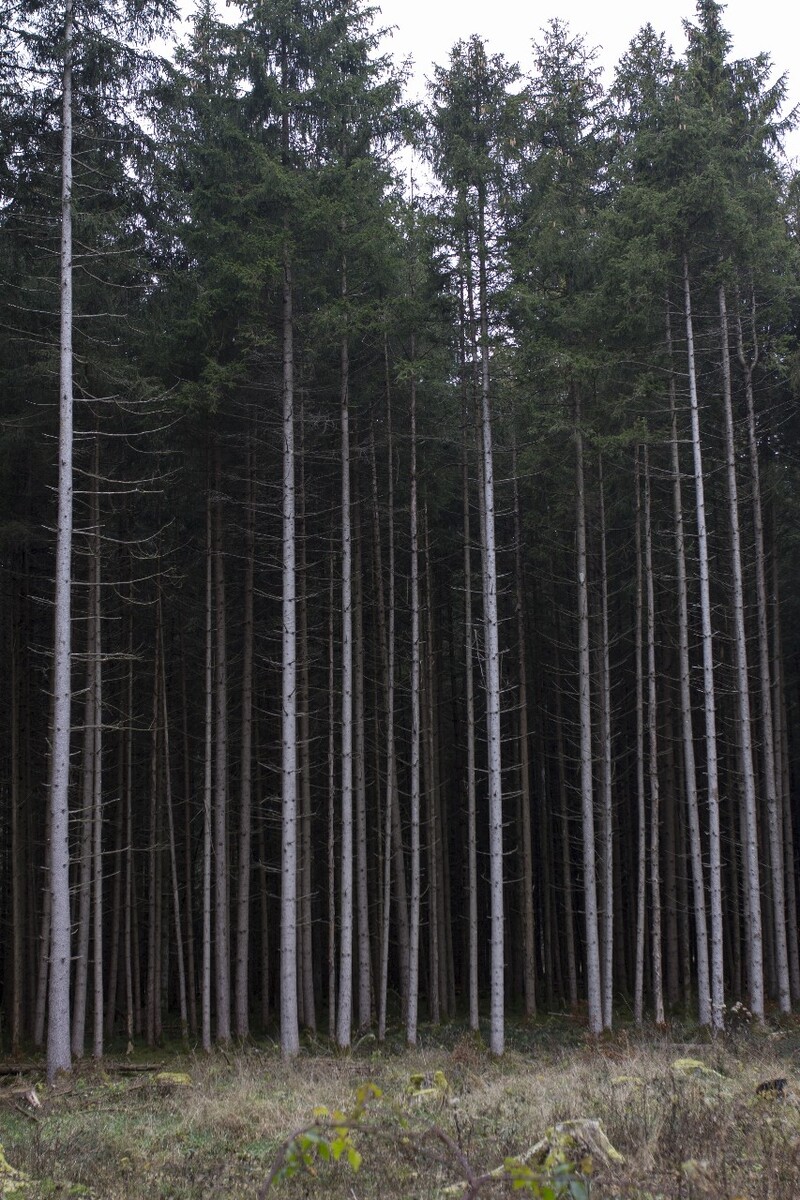小村