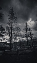 _IGP8586
