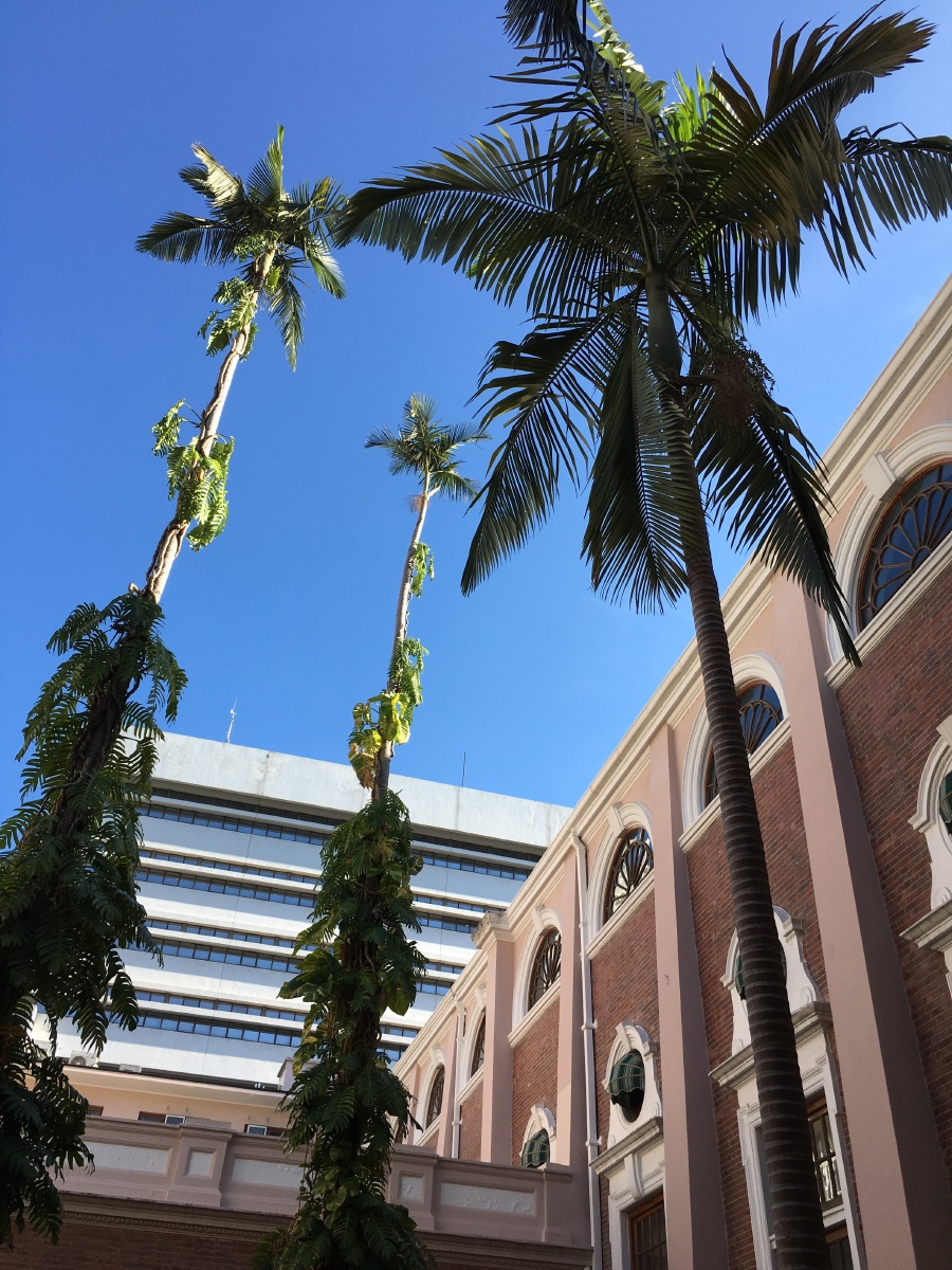 香港大学校园风光 hong kong university campus scenery