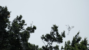 DSCF3041-3