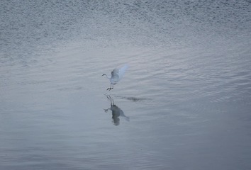 DSCF7315-1