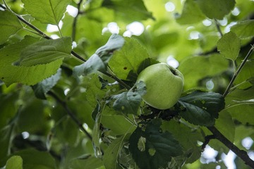 IMGP2623(1)