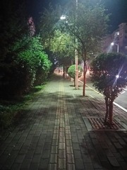 532603