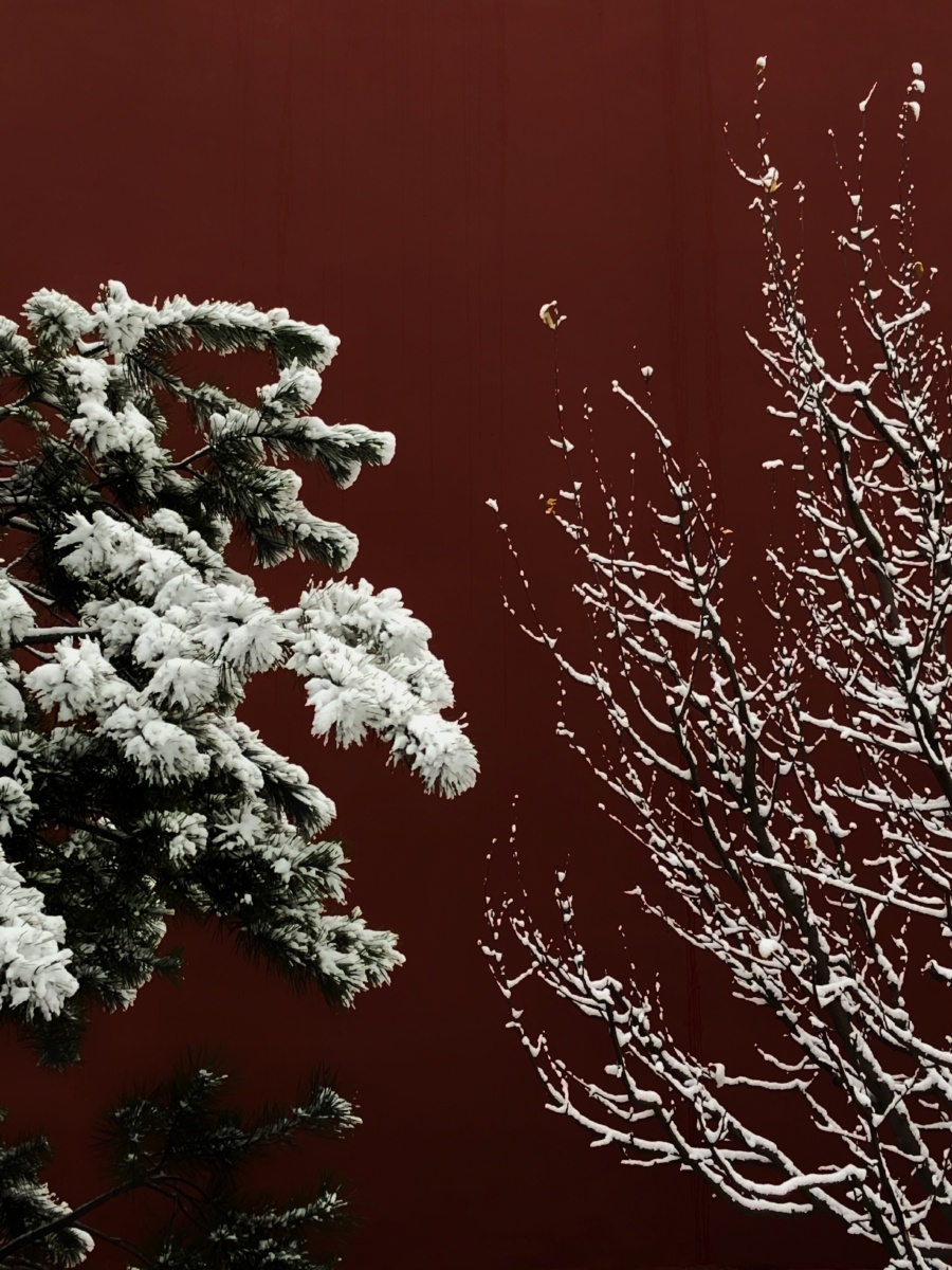 《雪映宫墙》2019年11月30日拍摄于故宫.