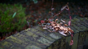 2016-01-10 144143