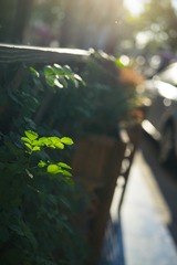 17年6月-13