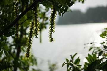 20140526-20140601