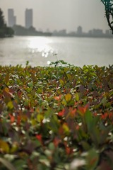 20140526-20140601-7