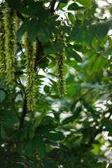 20140526-20140601-8