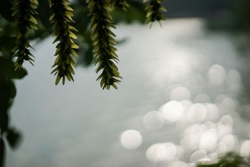 20140526-20140601-10